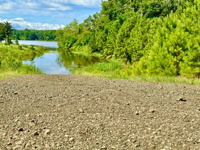 417 Old Tejas Trail W, Hemphill, TX 75948 - photo 3