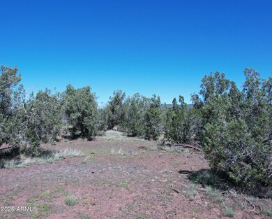 1887 Terry Ln, Kaibab Estates West, AZ 86320 - photo 4