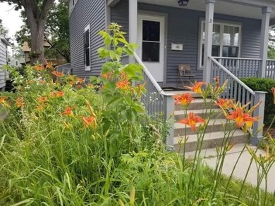 Summer Blooms