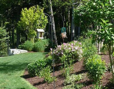 Yard/Garden.