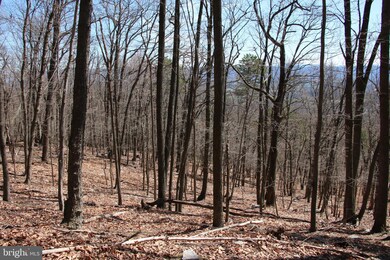 0 Back Rd unit VASH2003604, Toms Brook, VA 22660 - photo 6