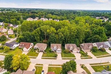 Drone View