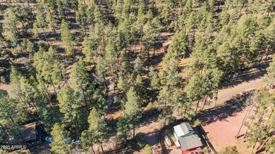 11180 N Houton Mesa Rd unit 77, Payson, AZ 85541 - photo 5