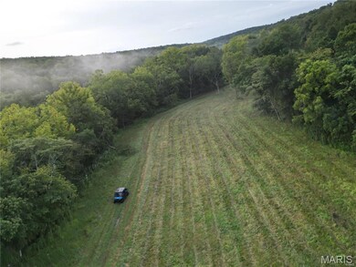 4 Lot Tanglefoot Farms Rd, Festus, MO 63028 - photo 5