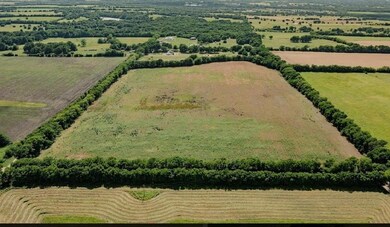 0 County Road 4045, Ector, TX 75439 - photo 7