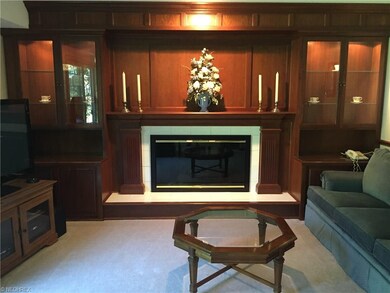 Cherry wood feature wall with gas fireplace and li