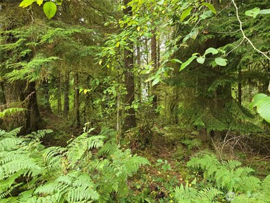 0 Lund Rd, Cosmopolis, WA 98537 - photo 4