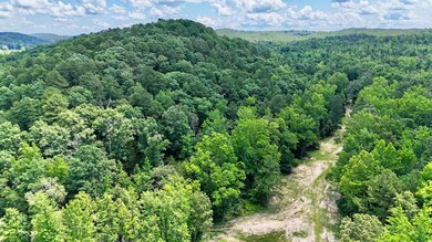 42.83 acres Rose Trail, Melbourne, AR 72556 - photo 6