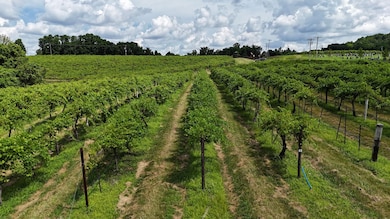 S Highway 94, Augusta, MO 63332 - photo 4