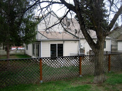 backyard 3