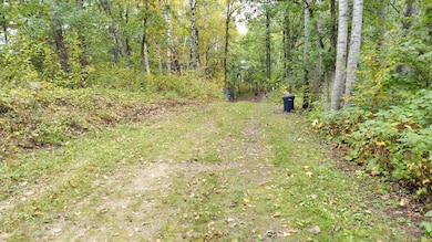 28515 Fool's Lake Dr, Two Inlets Township, MN 56470 - photo 3