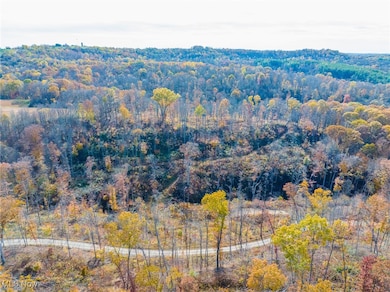 0 Hambel Rd, Union Township, OH 43758 - photo 3