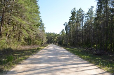 000 Sea Eagle Dr, Keaton Beach, FL 32348 - photo 4