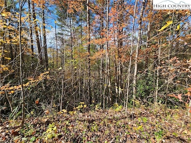 TBD Bent Bow Dr, Lenoir, NC 28645 - photo 6