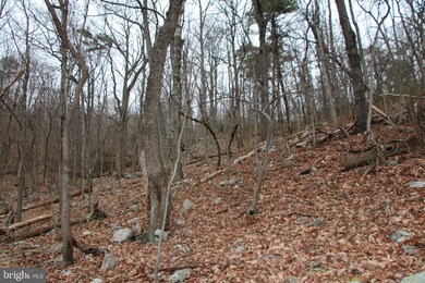 0 0 Back Rd, Toms Brook, VA 22660 - photo 4