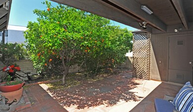 Front Courtyard