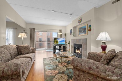 Spring Ave Station unit 303, La Grange, IL 60525 - photo 6