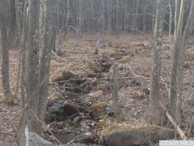 0 Slater Rd unit 108329, Maplecrest, NY 12454 - photo 6