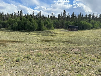 702 Pinto Trail, Como, CO 80456 - photo 3