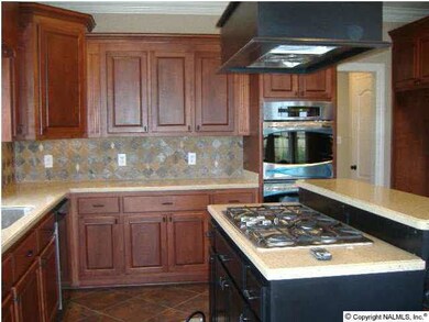 another view into kitchen ...LOADS OF CABINETS TO THE LEFT AND TO THE RIGHT >>>> gas cook top