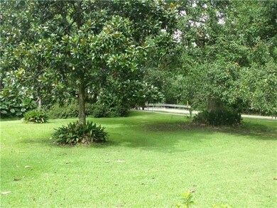 Yard. Front yard looking out to street
