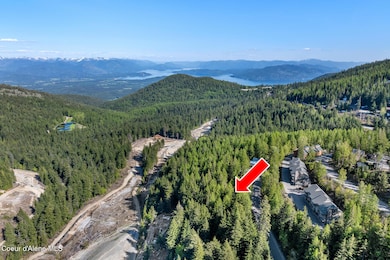 Aerial_TelemarkRdLot_Arrow