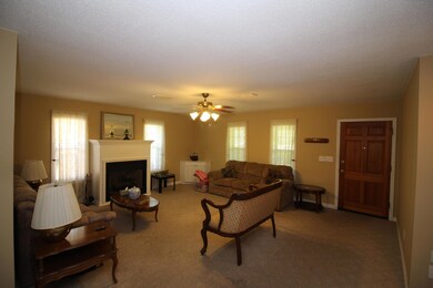 Living Room with Gas Logs in Fireplace