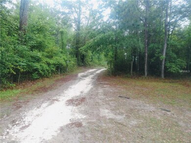 863 SW Catherine Ln, Lake City, FL 32025 - photo 3