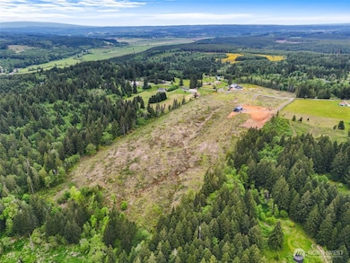 597 Brown Rd E, Adna, WA 98532 - photo 6