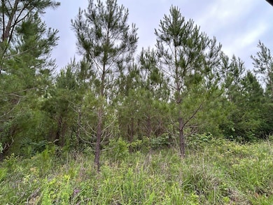 0 Mcdade Rd unit 23668134, Eatonton, GA 31024 - photo 4