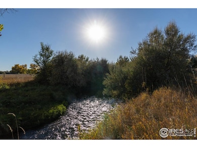 4229 Luchello Ct, Johnstown, CO 80534 - photo 4