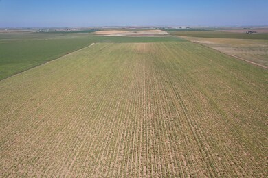 E County Road 5700, Idalou, TX 79329 - photo 5