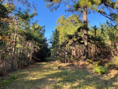 0000 Longbow St, Hockley, TX 77447 - photo 3