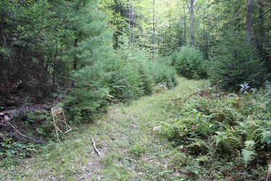 000 Langway Rd unit Lot 13, Lyman, NH 03585 - photo 2