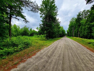 261 Porter Rd, Plainfield, NH 03781 - photo 7