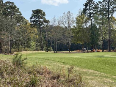 View of property's community featuring a lawn