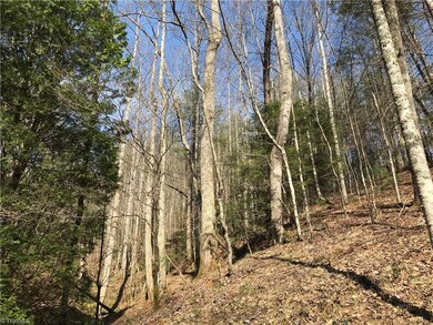 1455 Caseys Branch Rd, Purlear, NC 28665 - photo 5