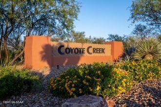 coyote-creek-2020-22