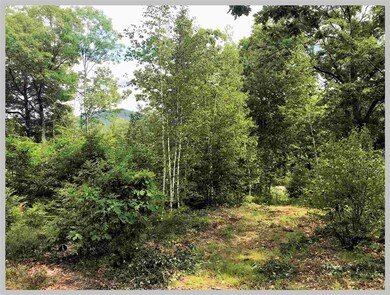 Lot #14 Point of View Dr, Plymouth, NH 03264 - photo 3