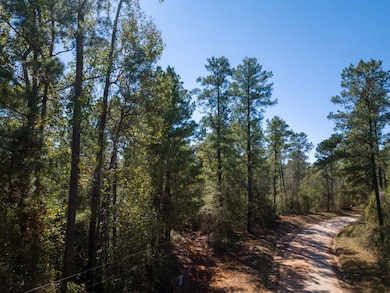 Eldridge Rd, Cleveland, TX 77328 - photo 5