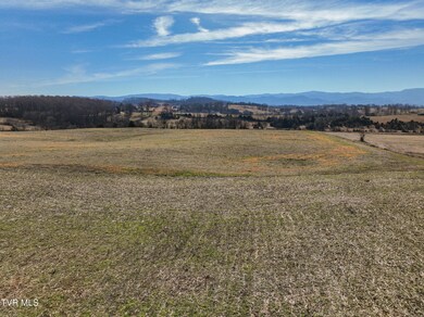 Tbd Old State Route 34, Limestone, TN 37681 - photo 6