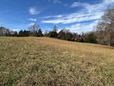 0 Hidden River Rd unit RTC3050288, Rock Island, TN 38581 - photo 5