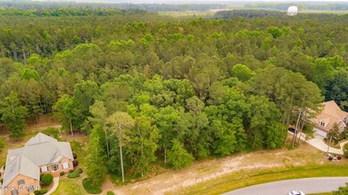DJI_0481
