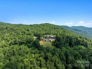 0 Bison Meadows unit 197 CAR4143471, Lake Lure, NC 28711 - photo 5