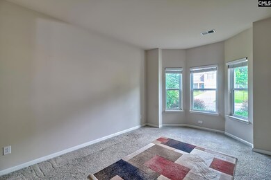 715 Soldier Gray Ln, Chapin, SC 29036 - photo 4