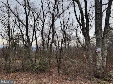 LOT 153 Bobcat Trail, Winchester, VA 22602 - photo 7