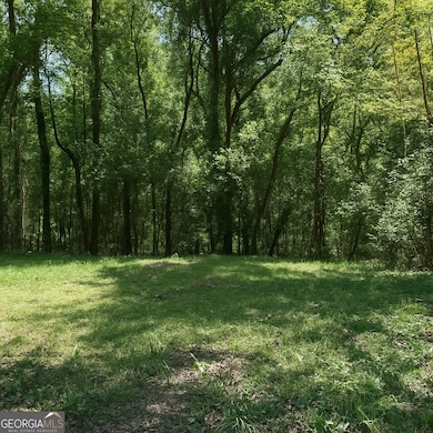 4900 Elkan Ave, Macon, GA 31206 - photo 6