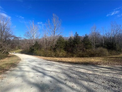 0 Rue de la Paix unit MIS25077778, Bonne Terre, MO 63628 - photo 3