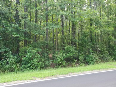 918 Balcombe Rd, Rocky Point, NC 28457 - photo 4