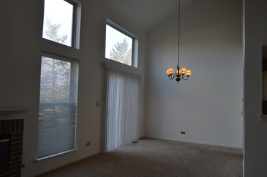 2050 Peach Tree Ln unit 4173, Algonquin, IL 60102 - photo 4